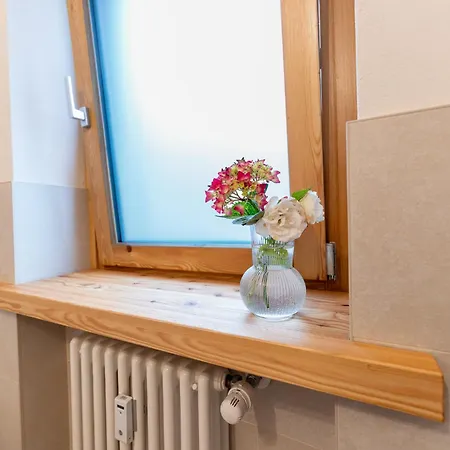 Apartmán Enjoy Alps - *